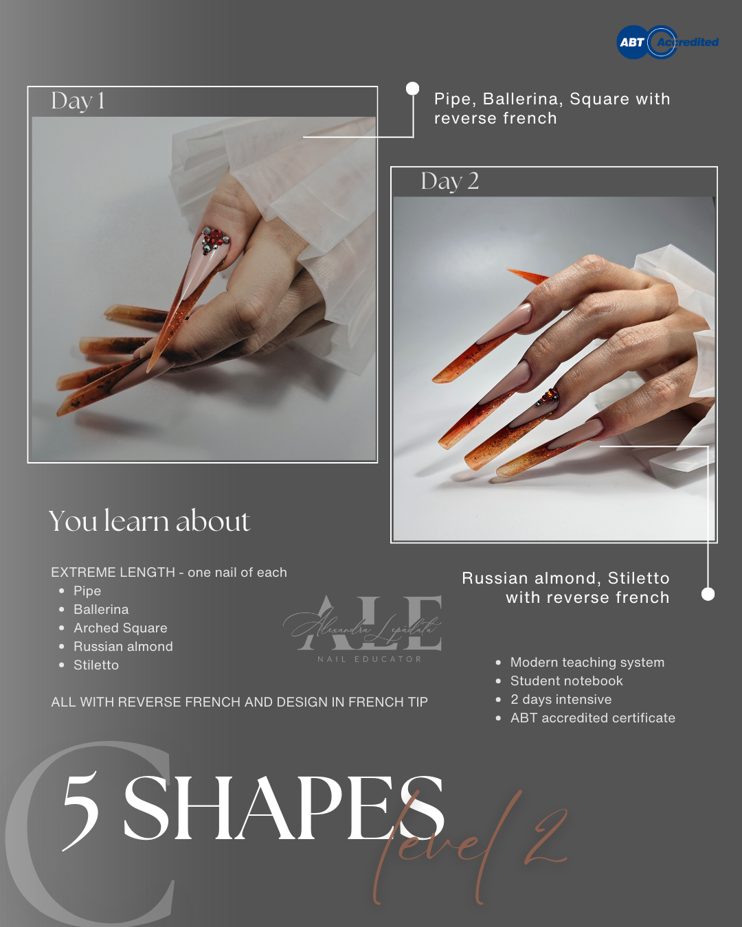 5 Shapes - Level 2 Teacher Private